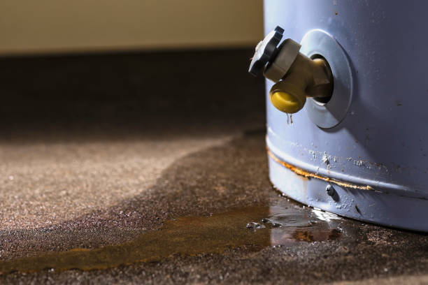  Madison, IL Water damage restoration Pros