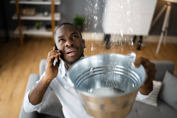 Best Water damage repair service  in Madison, IL