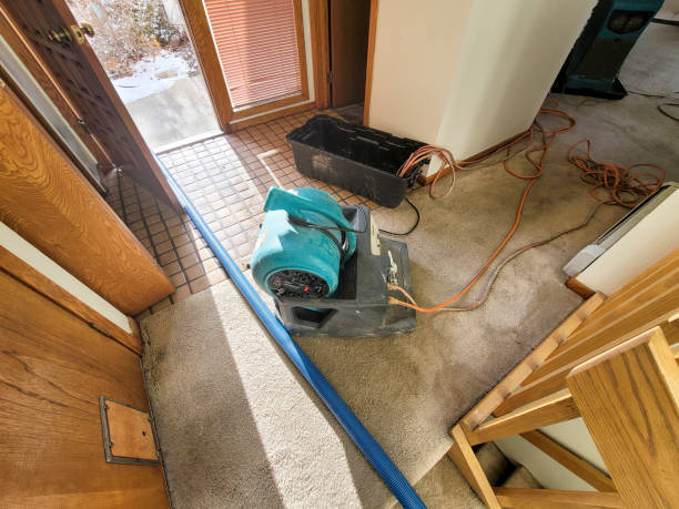 Best Ceiling water damage repair  in Madison, IL