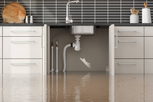 Best Water damage restoration specialists  in Madison, IL