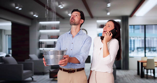 Best Emergency water extraction  in Madison, IL